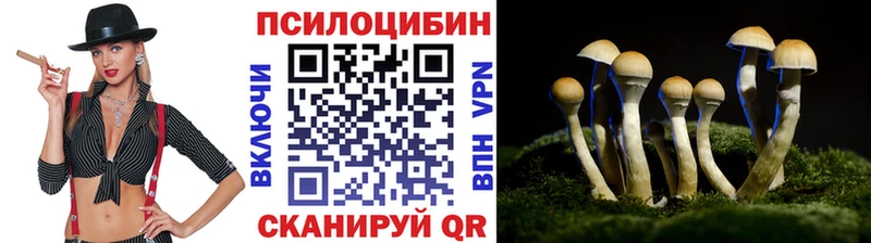 Галлюциногенные грибы Psilocybine cubensis  Купить закладки  Пестово 
