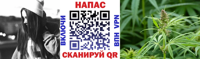Шишки марихуана марихуана  Купить  Пестово 